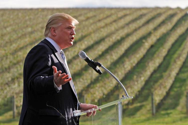 Trump i vinmarke