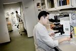 Novozymes