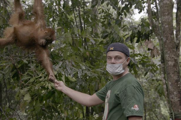 DiCaprio besøger et truet skovområde i Indonesien. 