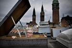 ROSE. Først var han en helt. Så var han det ikke. Jyllands-Postens daværende kulturredaktør, manden bag Muhammed-tegningerne, er ikke længere elsket i sin egen rede. Arkivfoto: Martin Lehmann 