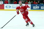 PARTNERSKAB. Danmarks Ishockey Union har sammen med den schweiziske partner stiftet et selskab, der står for at arrangere VM i Danmark. 