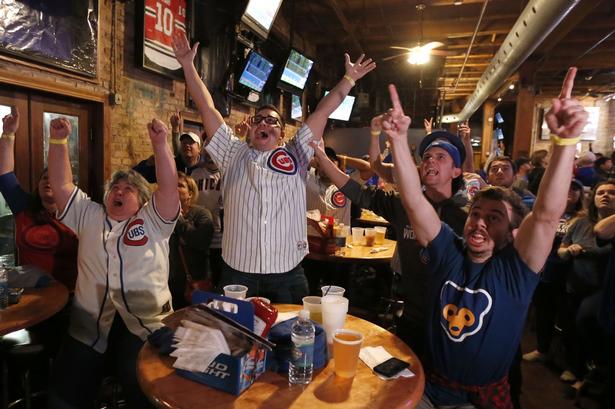 Bjørnen. På baren Cubby Bear lige over for Cubs' hjemmebane Wrigley Park jubler tilhængerne. 