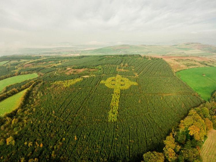 MYSTIK. Dette kors i en skov i Nordirland er kun synligt en del af året. 