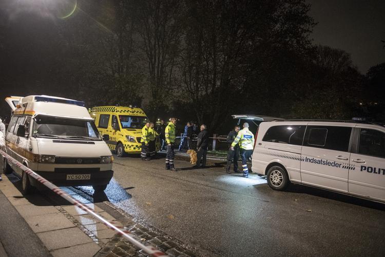 drabsstedet. Elverparken i Herlev fredag aften. Det er her, at en 32-årig gravid kvinde blev dræbt med adskillige knivstik. 