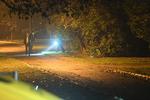 gerningssted. Sidste fredag blev en 32-årig gravid kvinde, der var ude at lute sin hund i denne park i Herlev, dræbt med flere knivstik. 