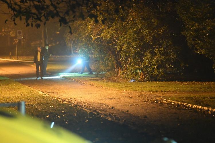 gerningssted. Sidste fredag blev en 32-årig gravid kvinde, der var ude at lute sin hund i denne park i Herlev, dræbt med flere knivstik. 