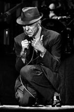 Afsked. Ligesom David Bowie, der også døde tidligere på året, har Leonard Cohen selv orkestreret sin afsked i form af den seneste udgivelse 'You Want It Darker'. Arkivfoto: Lærke Posselt 