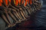 EU Libya Migrants