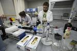 SLUT. Natalija Bochkarijova og Ilja Podolski på arbejde i laboratoriet i Moskva, der nok ikke i nærmest fremtid atter får en Wada-akkreditering efter en skandale om fusk med analyserne. 
