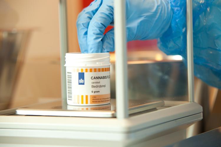 FOTO: Det Hollandske Kontor for Medicinsk Cannabis under Sundhedsministeriet 