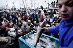 Offentliggørelsen af Rigsrevisionens rapport er en bagudrettet kritik af forløbet omkring Miljø- og Fødevareministeriets kontrol med fiskekvoter siden 2003. 