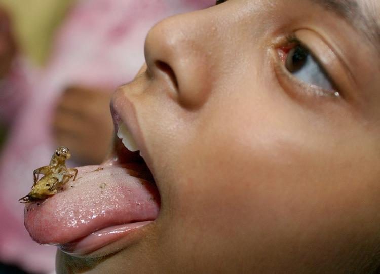 snack. Husdyr kan have mere end fire ben, viser den seneste forskning i seks- og ottebenede insekter. Mere end 1.600 insektarter spiser man i verden i dag, bl.a. 400 billearter og tre lusearter - og de små kryb er næringsrige. 