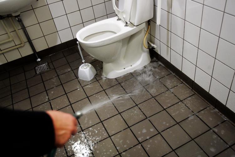 Gratis. Du kan stadig nå at tisse af og sige adjø til tissekonerne. Men i slutningen af november er det forbi med gratis toiletbesøg og personlig betjening på Hovedbanegården.  MIRIAM DALSGAARD/POLFOTO