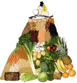 Nordisk Ministerråd fremlagde i juni nye kostråd: Vi skal spise mere grønt og mindre kød, lyder det. LA's Henrik Dahl tolker det som: »Du skal leve af savsmuld og lunkent vand og piske dig selv med en rusten cykelkæde«. Arkivfoto: Camilla Stephan