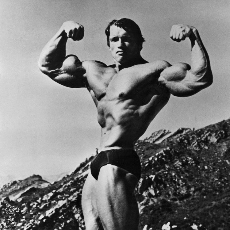 Arnold Schwarzenegger startede sin karriere som bodybuilder, men blev senere både skuespiller og politiker.  