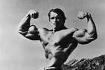 Arnold Schwarzenegger