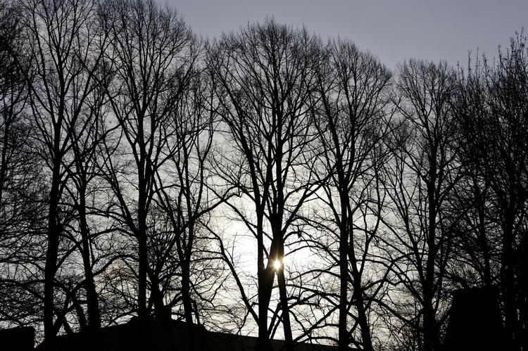 Vinter. Mandag vil temperaturen ligge mellem to og fem plusgrader, men ligesom i den forgangne weekend vil det føles væsentligt koldere, hvis man stiller sig ud i den kølige vind. 