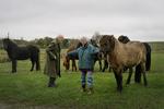Ægteparret Iben og Aage Kjems er begge 92 og bor sammen på en lille gård nær Skanderborg. 