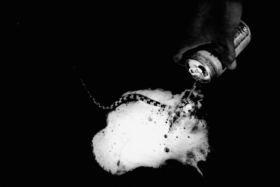 Mads Nissen