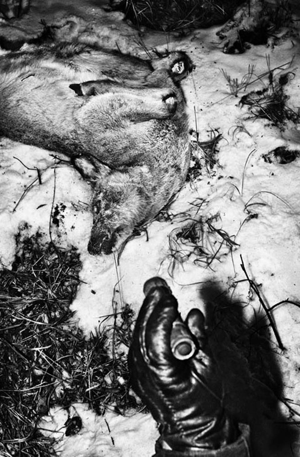 © Jacob Aue Sobol/MAGNUM PHOTOS