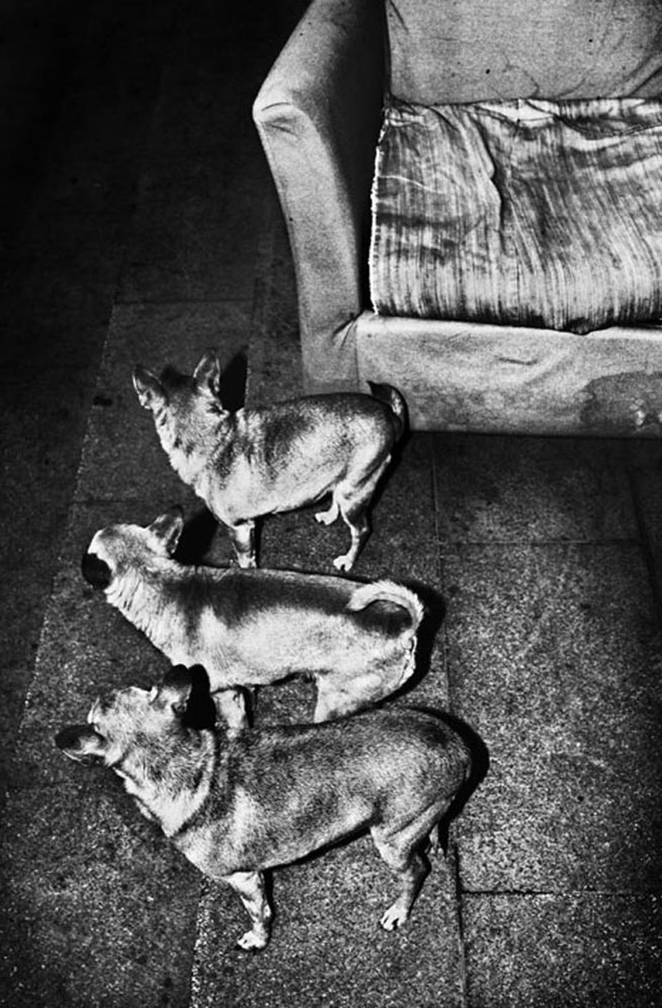 © Jacob Aue Sobol/MAGNUM PHOTOS
