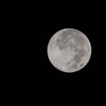 Månen set fra Den Internationale Rumstation 