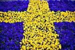 Togtrafik Pendlere til Sverige
