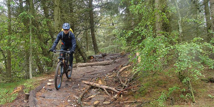 Alternativ. De seneste fem år har Naturstyrelsen haft eneret på at udpege Danmarks bedste mountainbikespor med listen 'De 10 Spir'. Nu bryder Politiken monopolet med en alternativ kåring af ruter og områder. Arkivfoto Sune Højrup Bencke