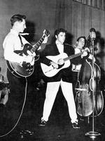 Elvis på turné i USA i 1957 med sin ganske fine trio. I Danmark fik sangeren og sangene en voldsom hård medfart i anmeldelser og kommentarer. Foto: AP/AP