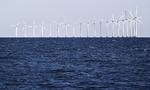 Havvindmøller. Regeringen afviser fortsat et bud fra Vattenfall om kystnære vindmøller. Her ses havvindmøller ved Amager Strand i hovedstadsområdet. 