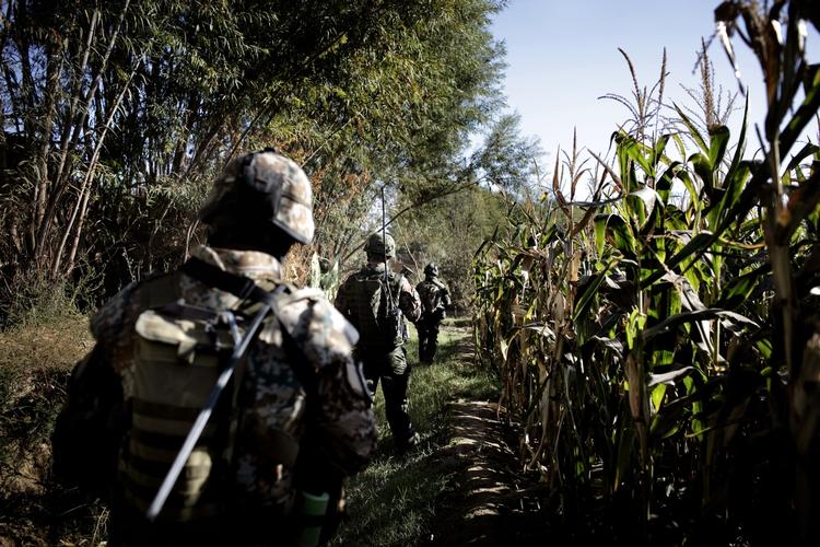 Det er i dag 15 år siden, at krigen i Afghanistan startede. På billedet ses danske soldater i 2009 under en fodpatrulje i Helmandprovinsen. 