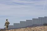 Afgræsning. Grænsen mellem USA og Mexico er omkring 3.100 kilometer lang. En del af strækningen er på nuværende tidspunkt bebygget med hegn i forskellige størrelser. 