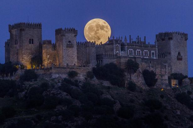 Almodovar slottet i Cordoba, Spanien. 
