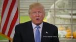Trump. Den kommende præsident har netop løftet sløret for, hvad han vil gøre i sine første 100 dage som præsident. 