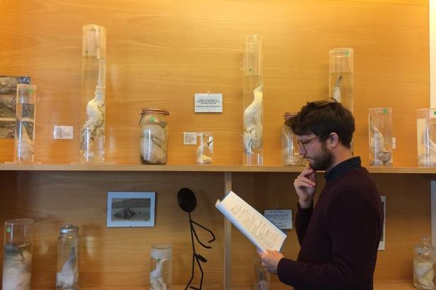 PENIS-MUSEUM  i Island. I sommer var jeg et smut forbi The Icelandic Phallo- logical Museum i Reykjavik. Ja, det er, hvad du tror: et penismuseum! Her studeres forskel- lige sæl- og delfinpikke. Læserfoto: Rune Bonde 
