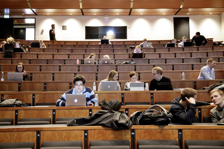 job. Mange nyuddannede akademikere kan ikke finde et job og ender på dagpenge, når de er færdige med studierne. Tiden på dagpenge kunne de have brugt på at dygtiggøre sig på uddannelsen, mener formanden for Akademikerne. 