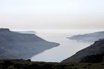 DYRPLAGERI. Britisk kaptajn er fundet skyldig i at plage en flok hvaler med en kraftig speedbåd ud for Færøerne. 