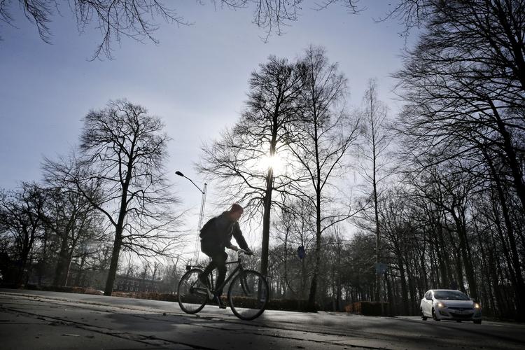 Miljørigtigt. Aarhus har store ambitioner for den jyske bys klimavenlighed. Her ses en cyklist ved Havreballe Skov i Aarhus. 