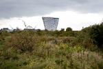 NATURPERLE. Flere partier forsøger at redde enestående stykke gammel natur i København. De radikale vil frede arealet, inden et planlagt byggeri går i gang. 