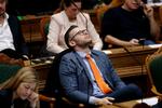 Liberal Alliances Joachim B. Olsen. 