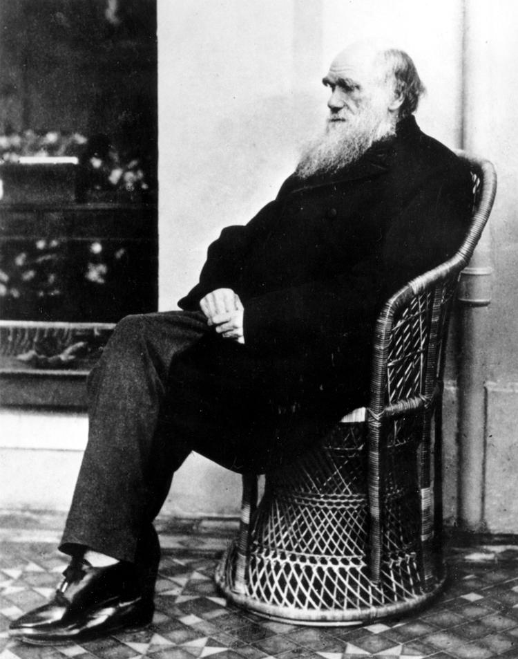 Nærkontakt. Gennem hele sit liv var Charles som så mange andre naturhistorikere optaget af nærkontakt med den zoologiske og botaniske virkelighed (hvilket herligt ord: naturhistorie), men det var hans evne til at samle sine iagttagelser i helt nye hypoteser, som for alvor imponerer. 