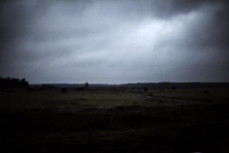 Ulveøen. Isoleret fra omverdenen, slår Lajla sig ned i skovene ude for Vancouver i Canada. Det bliver begyndelsen på en ensom og lærerig proces. Arkivfoto: Peter Klint 