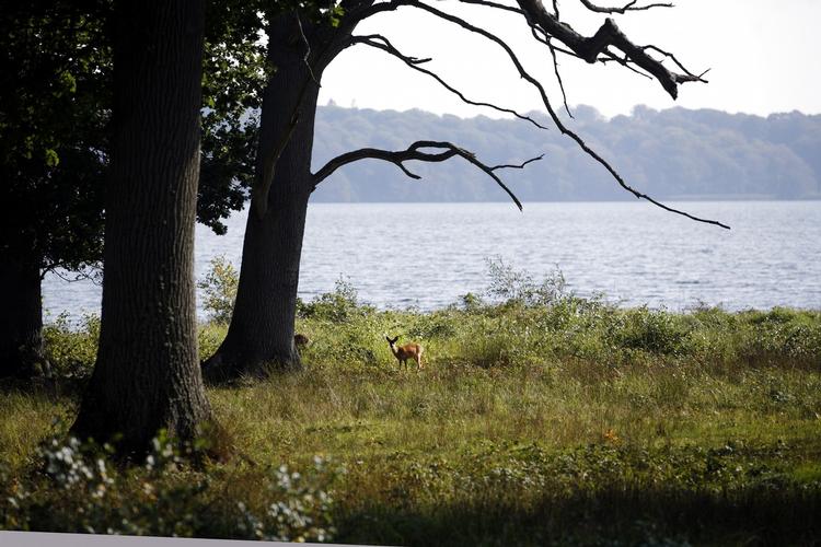Landet. Ifølge Henrik Jensen er der ét Danmark, der altid vil bestå: »vores fantastiske, nærmest mirakuløse natur«. Foto: Morten Langkilde 