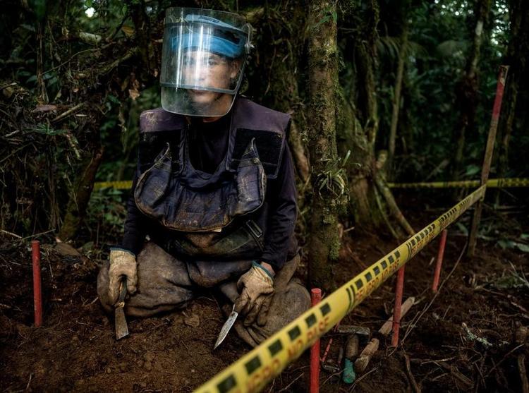 Forsigtig. Under minerydningen skraber den tidligere Farc-kæmper Hector Perez forsigtigt jorden væk for at undgå at ramme detonatoren på en af de miner, han selv har været med til at lægge. 