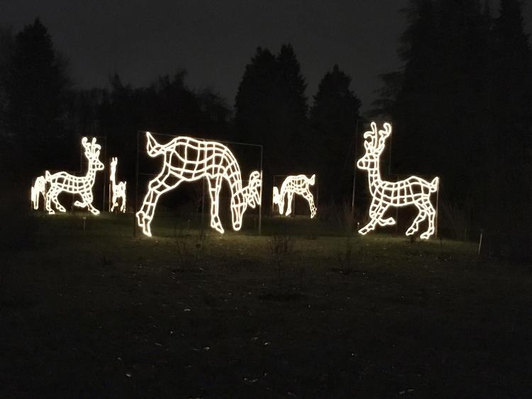 I Tysklands hoved-stad kan man i år besøge flere nyskabelser, der byder på mere end blot kommerciel hygge.  