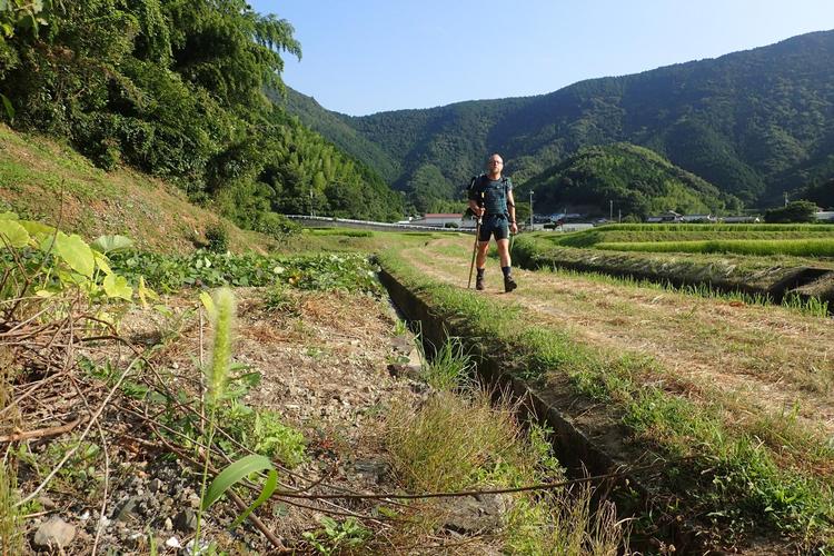 Vandring på 'den japanske camino' i højsommeren byder på varme, fugtigt klima og få turister. 