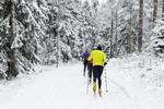 Billingen er et af de steder i Sverige, hvor langrendsfolket kommer fra både Sverige og Danmark for at træne til det traditionsrige Vasaløb. 