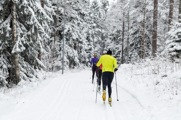 Billingen er et af de steder i Sverige, hvor langrendsfolket kommer fra både Sverige og Danmark for at træne til det traditionsrige Vasaløb. 