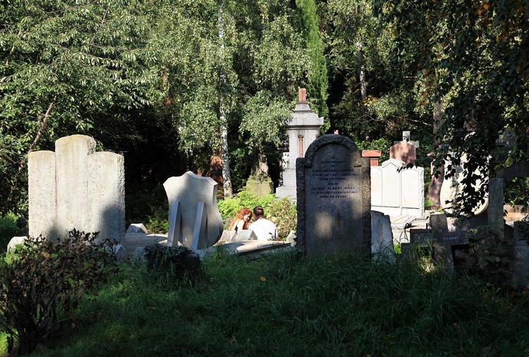 Her kan man søge fred og fordybelse, nyde sin frokost eller mødes med en ven eller veninde på en solfyldt plet blandt vilde planter og væltede og overgroede gravmonumenter. 