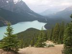 Denne ræveformede sø finder man i Banff nationalpark i  Canada 